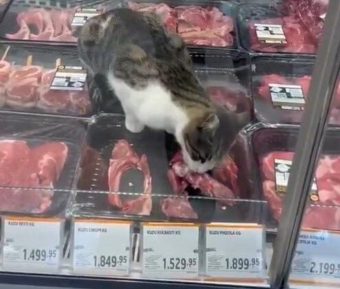 Zincir marketteki görüntüler denetimi harekete geçirdi: İşletmeye ağır ceza