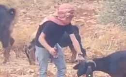 İsrail dünyaya servis etti! ‘Zehirleme’ iddiasının arkasından İsrailli çıktı