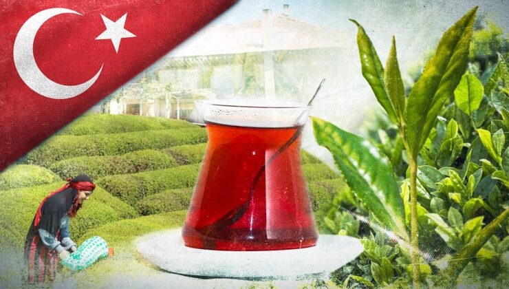Çay ihracatı 9 ayda 25 milyon doları aştı