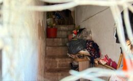 CHP’li belediye 17 senedir temizlemiyor: Mahalleyi kötü koku ve haşere sardı