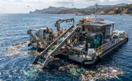 COP31 Başkanlığı Trabzon’da Deniz Çöpleri Eylem Platformu’nu başlattı