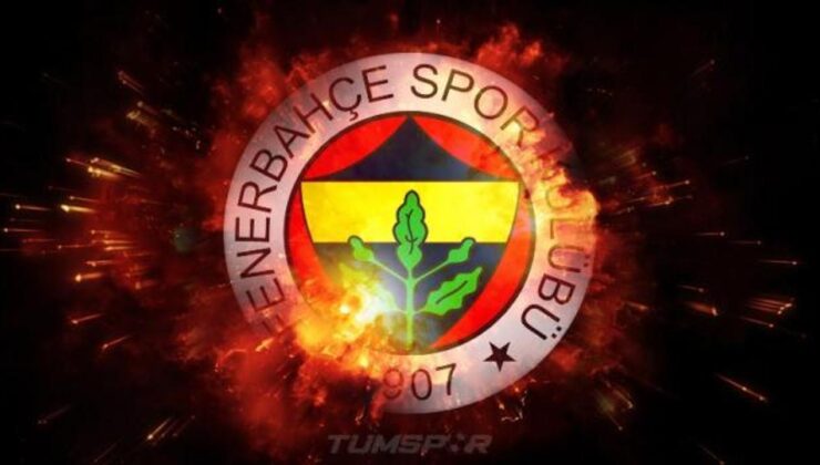 Fenerbahçe’nin transfer yasağı kaldırıldı