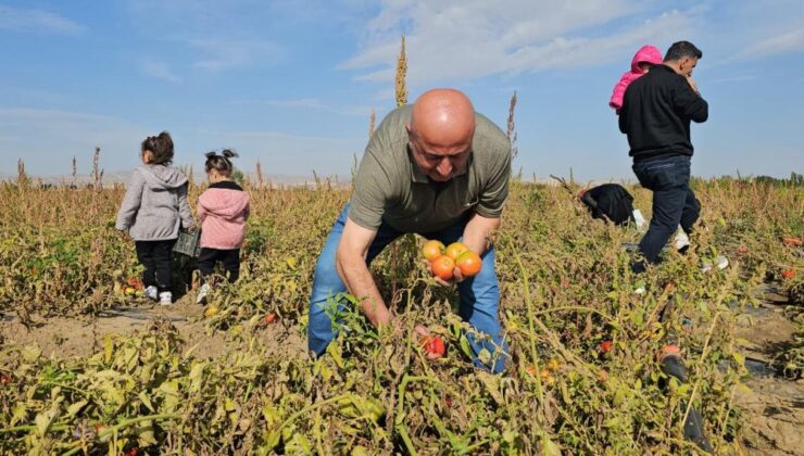 Domates 20, biber ve patlıcan 30 lira! Vatandaşlar akın akın buraya gidiyor