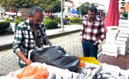 19 yılın en büyük akını: Karadeniz’de fiyatlar dibi gördü