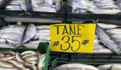 Strafor köpük kasasının fiyatı palamuttan 3 kat pahalı