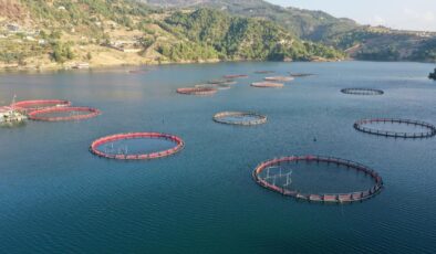 Karadeniz’in su ürünleri ihracatı 9 ayda 322 milyon doları aştı