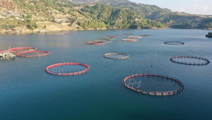 Karadeniz’in su ürünleri ihracatı 9 ayda 322 milyon doları aştı